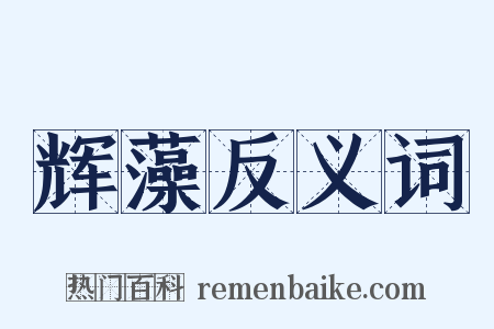 辉藻反义词是什么意思的图片